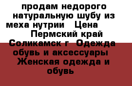 продам недорого натуральную шубу из меха нутрии › Цена ­ 3 000 - Пермский край, Соликамск г. Одежда, обувь и аксессуары » Женская одежда и обувь   